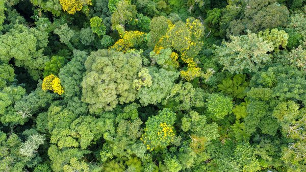 Révélez votre potentiel grâce au coaching d'affaires.