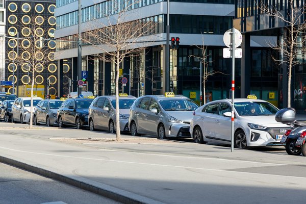 Tout ce qu'il faut pour pêcher le bar en méditerranée